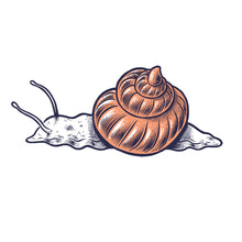 Lade das Bild in den Galerie-Viewer, schnecke shirt