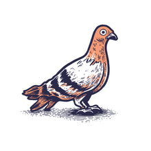 Load image into Gallery viewer, pigeon shirt